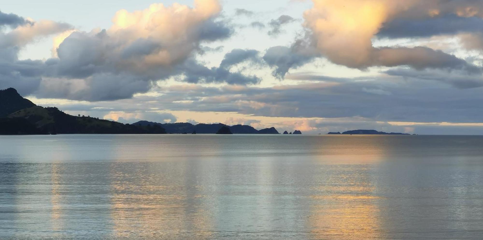 Waterfront Apartments Whitianga Dış mekan fotoğraf