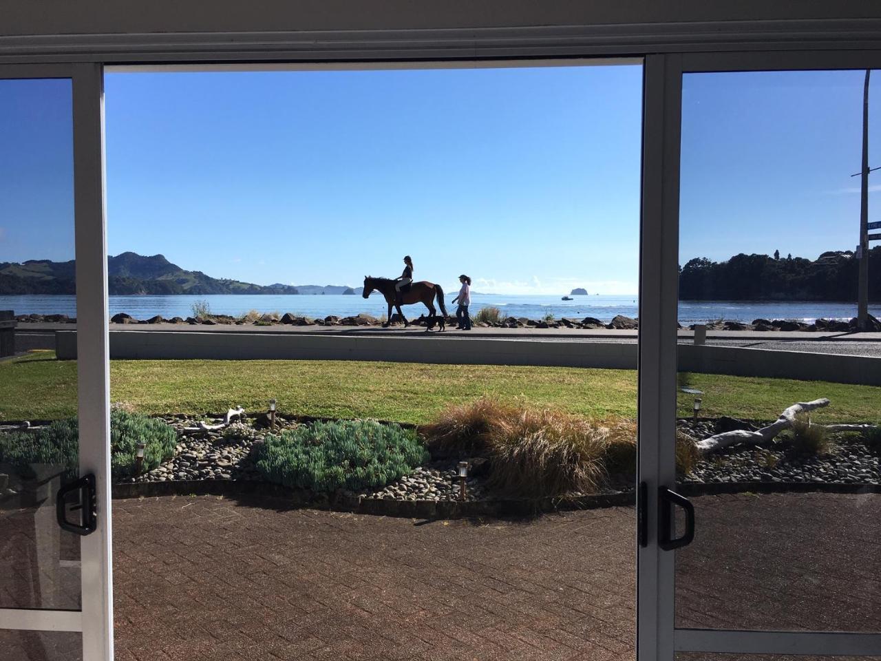 Waterfront Apartments Whitianga Dış mekan fotoğraf